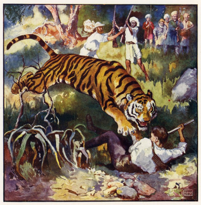 Im nächsten Moment sah ich ihn rückwärts unter die Tigerin fallen von John Edwin Noble