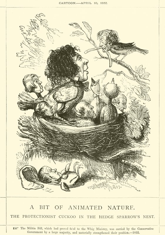 Ein Stück belebte Natur, der Protektionist Kuckuck im Nest der Hecken-Spatzen von John Leech