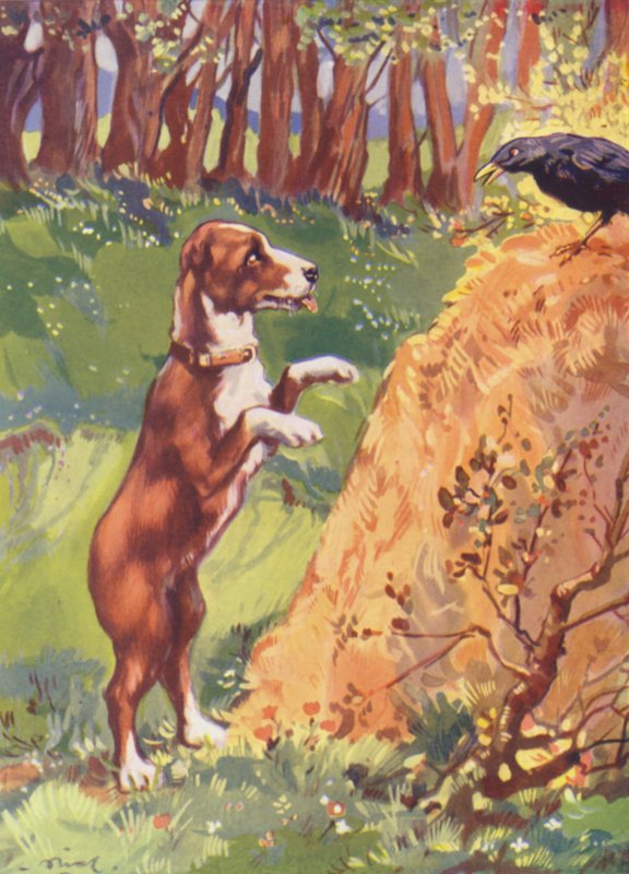 Illustration für Beautiful Joe von Marshall Saunders von John Nicholson