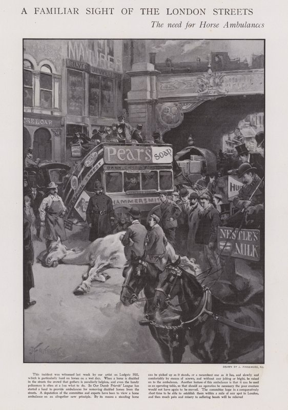 Der Bedarf an Pferdeambulanzen auf den Straßen von London (Lithografie) von Joseph (after) Finnemore