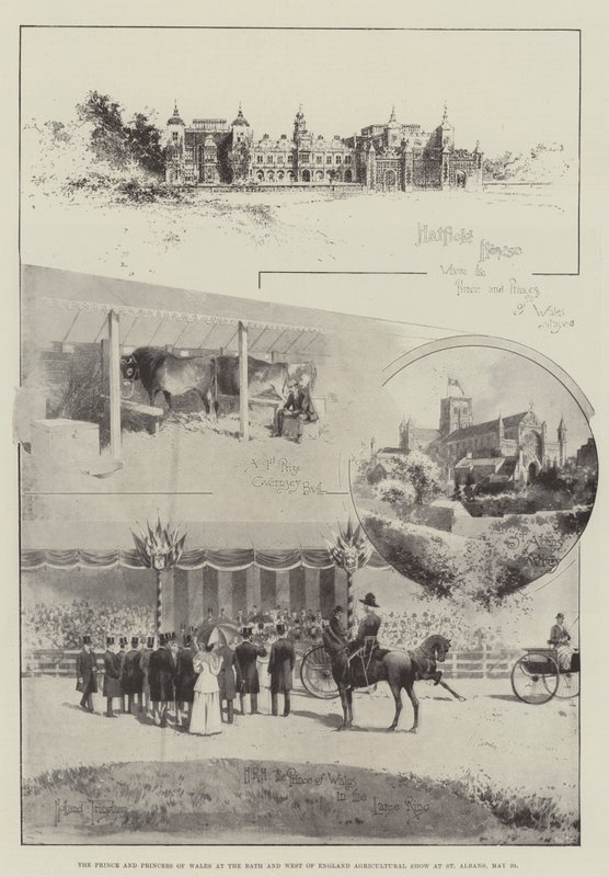 Der Prinz und die Prinzessin von Wales auf der Bath and West of England Agricultural Show in St Albans, 29. Mai von Joseph Holland Tringham