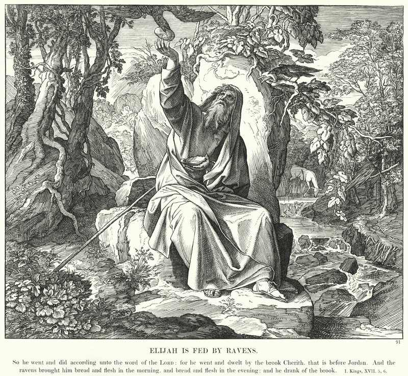Elia wird von Raben gefüttert von Julius (after) Schnorr von Carolsfeld