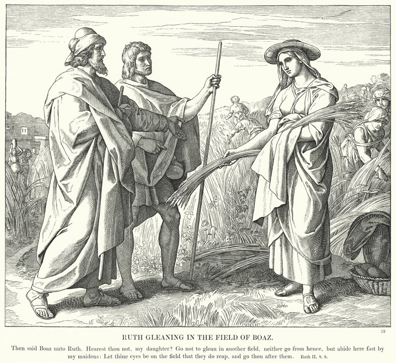 Ruth sammelt Ähren im Feld von Boas (Gravur) von Julius (after) Schnorr von Carolsfeld