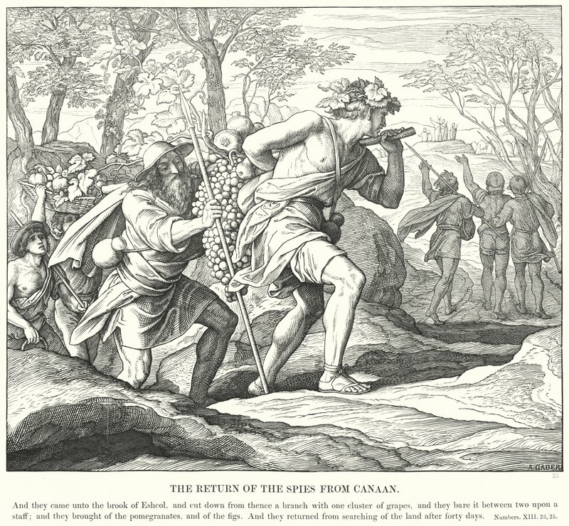 Die Rückkehr der Spione aus Kanaan von Julius (after) Schnorr von Carolsfeld