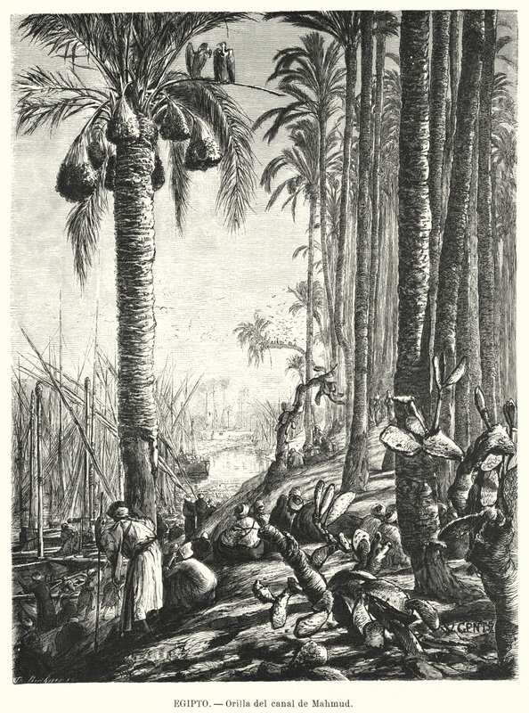 Ufer des Mahmoudiyah-Kanals, Ägypten von Karl Wilhelm Gentz