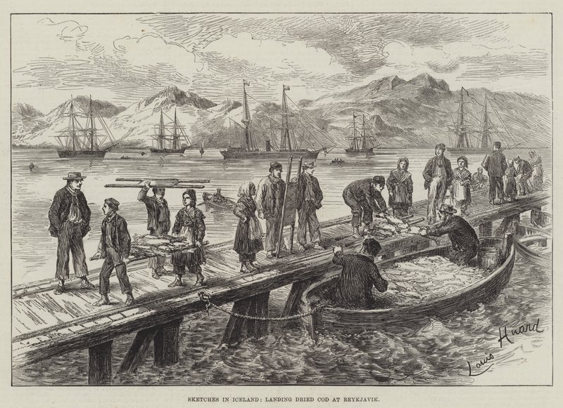 Skizzen in Island, Trockenkabeljau in Reykjavik anlanden von L. Huard