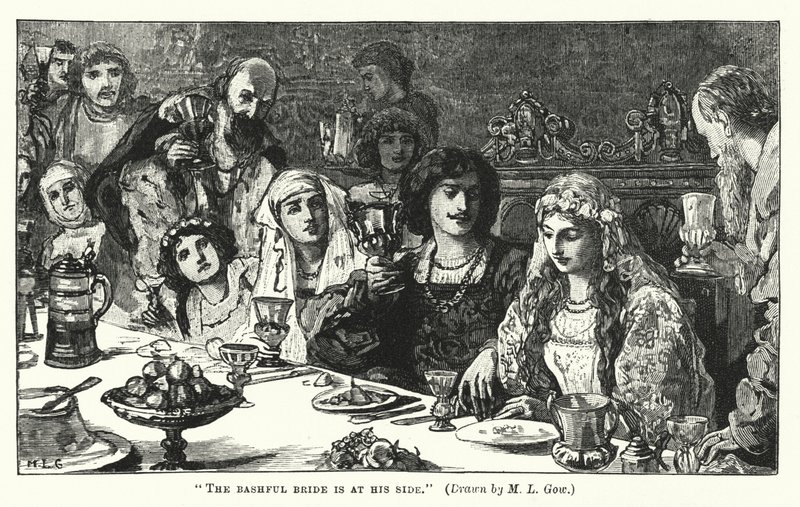 Die schüchterne Braut ist an seiner Seite von Mary L. Gow