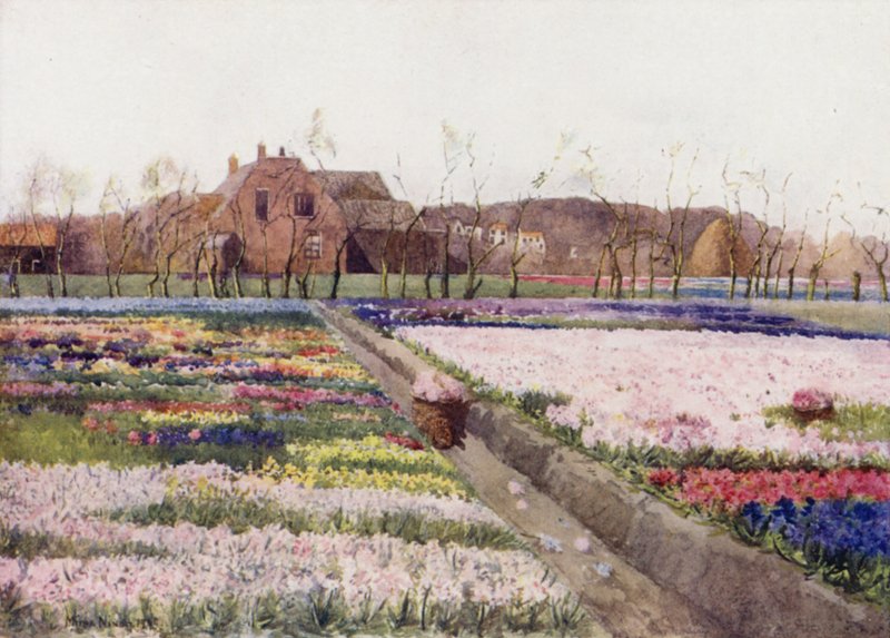 Wenn der Frühling die Blumen freigibt, um den lachenden Boden zu bemalen von Mima Nixon