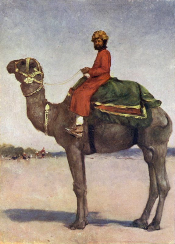 Ein Kamelreiter aus Kota von Mortimer Ludington Menpes