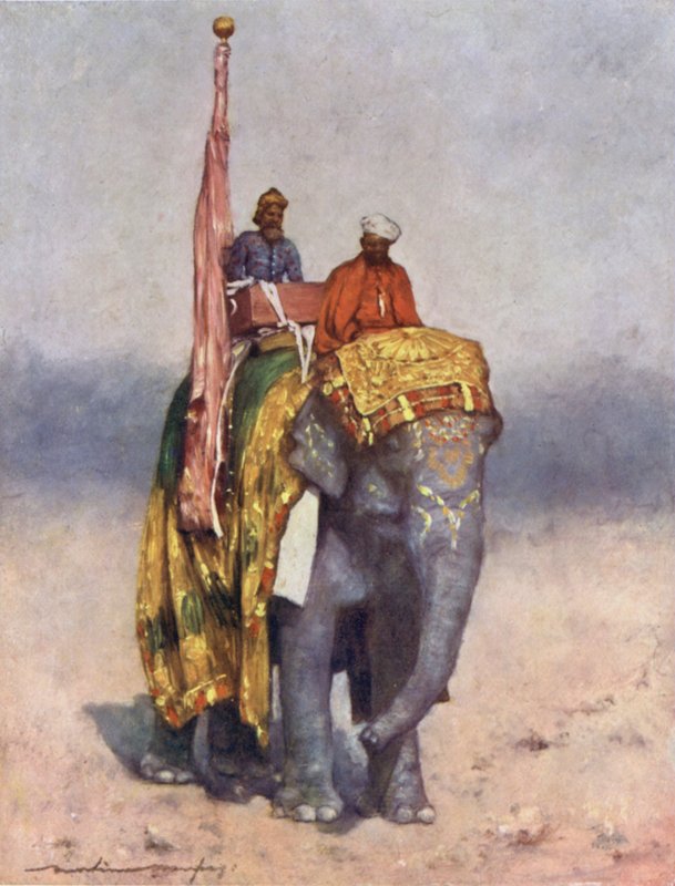 Ein Elefant aus den Sandwüsten von Rajputana von Mortimer Ludington Menpes