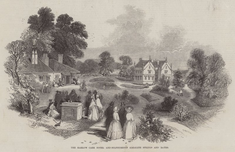 Das Harlow Carr Hotel und die schwefelhaltigen alkalischen Quellen und Bäder von Myles Birket Foster