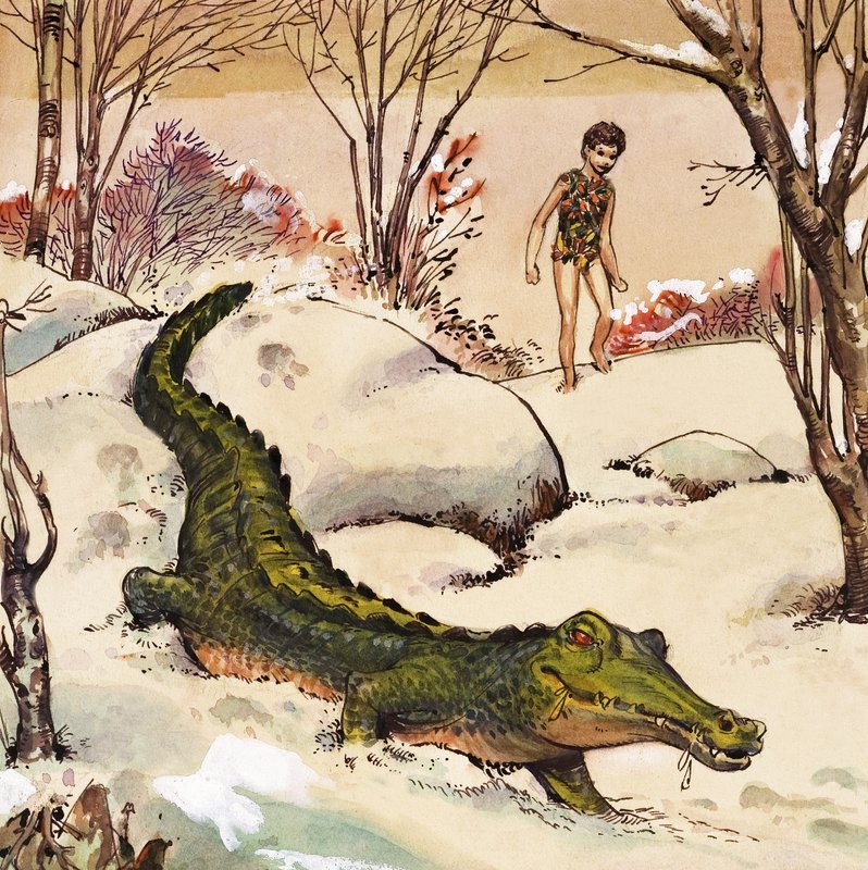 Peter folgt dem Krokodil, Illustration aus 