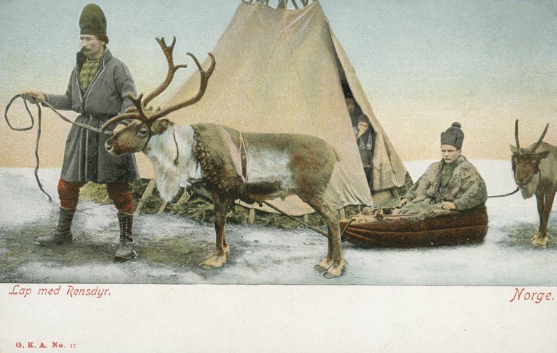 Lappen mit Rentieren, Norwegen von Norwegian Photographer