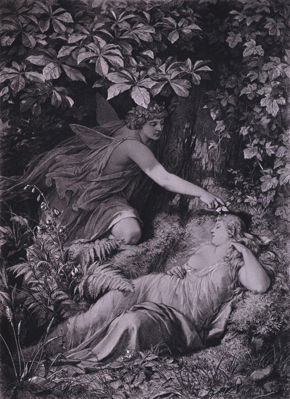 Szene aus Shakespeares Ein Sommernachtstraum (Akt IV, Szene 1) von Friedrich Paul Thumann
