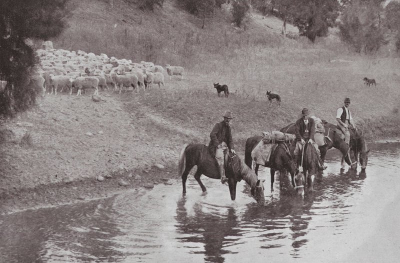 Die Rast, typische australische Viehhirten von Photographer Australian