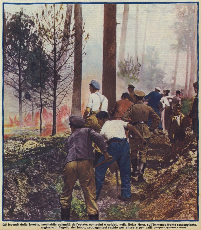 Bauern und Soldaten bekämpfen einen Waldbrand im Schwarzwald, Deutschland von Photographer German