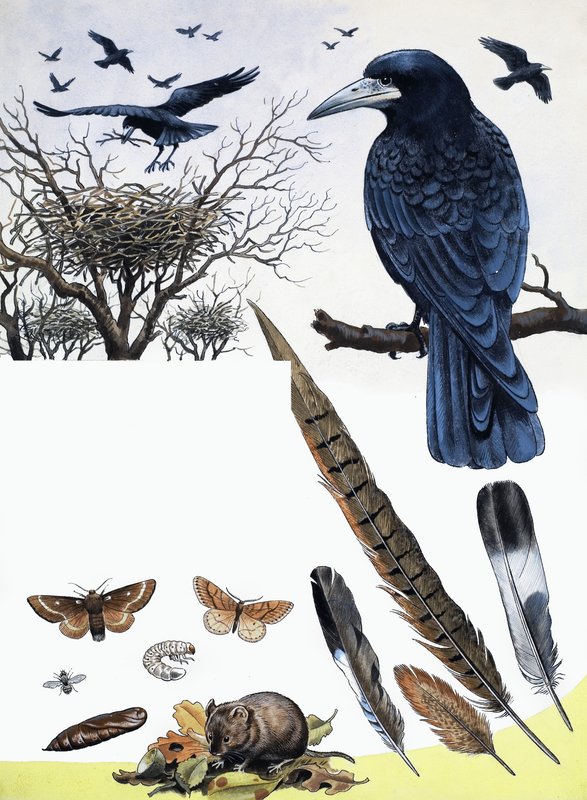 Die Landschaft im Februar von R.B. Davis