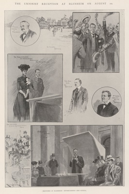 Der Unionistenempfang in Blenheim am 10. August von Ralph Cleaver