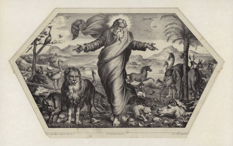 Die Erschaffung der Tiere von Raffaello Sanzio Raphael