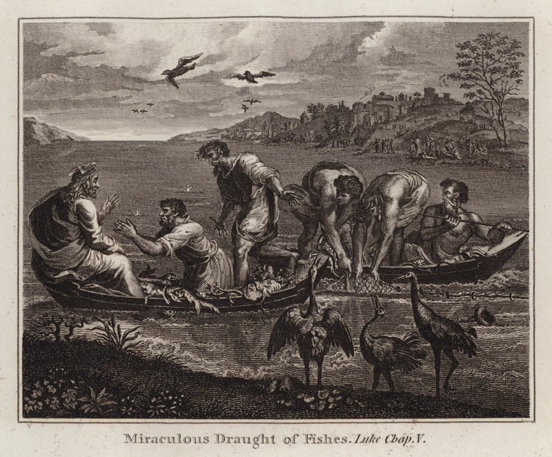 Raphael-Karton: Der wunderbare Fischfang, Lukas, Kapitel V von after Raphael