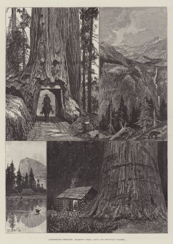 Kalifornische Skizzen, Mammutbäume, Felsen und Berglandschaften von Richard Caton Woodville junior