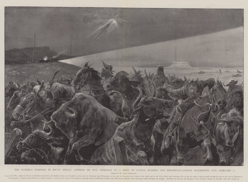 Der Guerillakrieg in Südafrika, General De Wet, abgeschirmt von einer Rinderherde, stürmt die Kroonstad-Lindley Blockhauslinie, 6. Februar von Richard Caton Woodville junior
