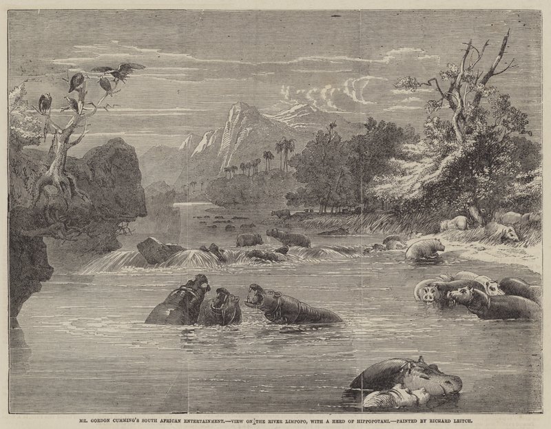 Mr. Gordon Cummings südafrikanische Unterhaltung, Blick auf den Fluss Limpopo mit einer Herde Nilpferde von Richard Principal Leitch
