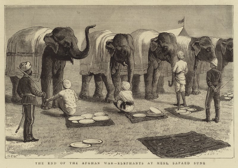 Das Ende des Afghanischen Krieges, Elefanten beim Essen, Safaed Sung von Samuel Edmund Waller