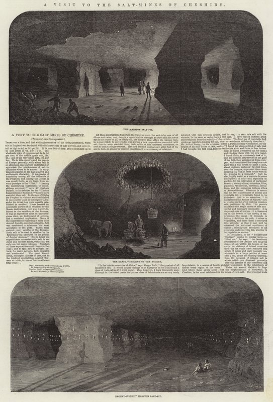 Ein Besuch in den Salzminen von Cheshire von Samuel Read