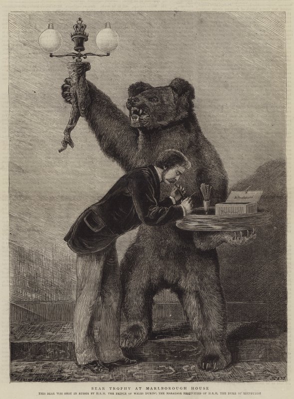 Bärentrophäe im Marlborough House von Samuel Edmund Waller