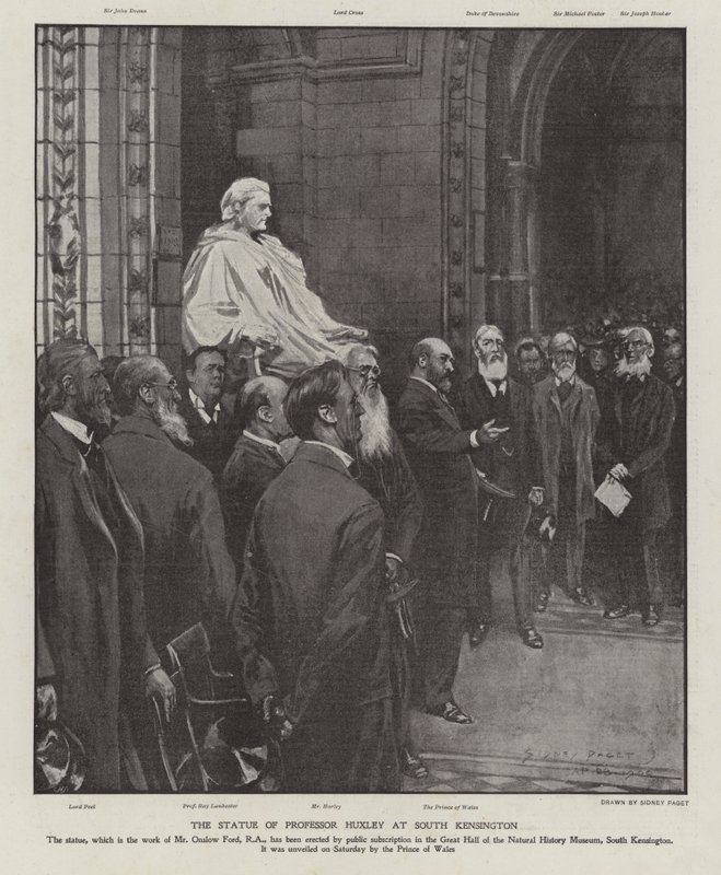 Die Statue von Professor Thomas Henry Huxley in der Großen Halle des Naturhistorischen Museums, South Kensington, London von Sidney Paget