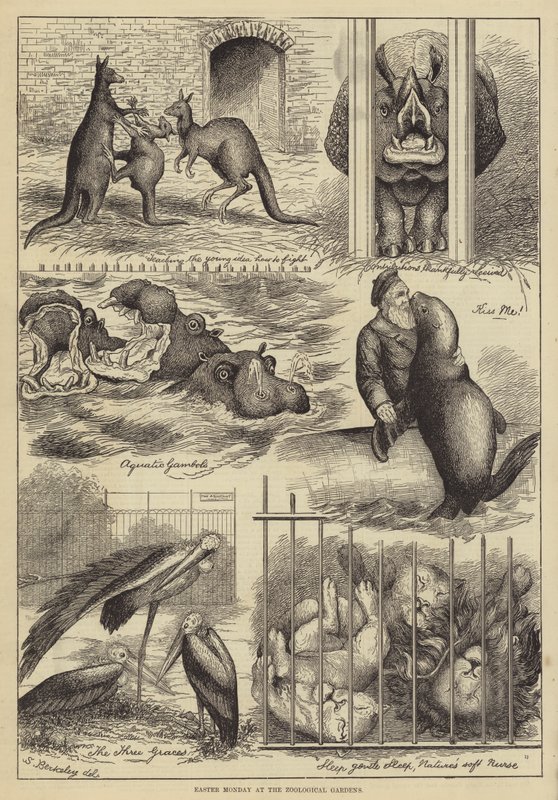 Ostermontag im Zoologischen Garten von Stanley Berkeley