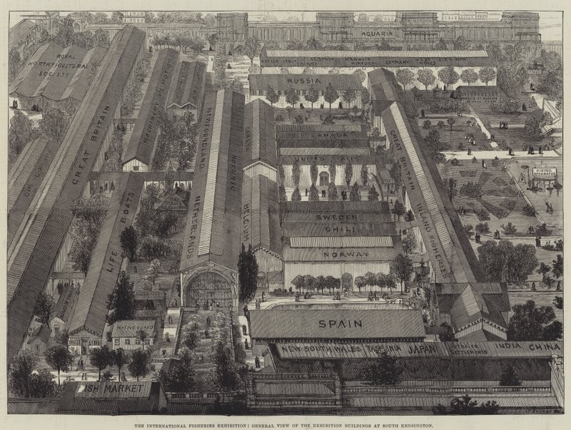 Die Internationale Fischereiausstellung, Gesamtansicht der Ausstellungsgebäude in South Kensington von Thomas Sulman