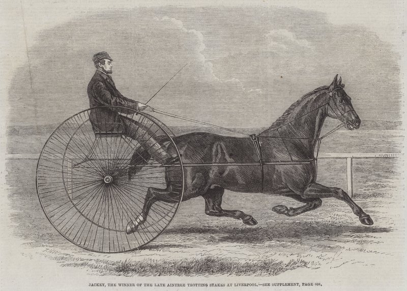 Jackey, der Gewinner der letzten Aintree-Trotting-Stakes in Liverpool von Thomas Harrington Wilson