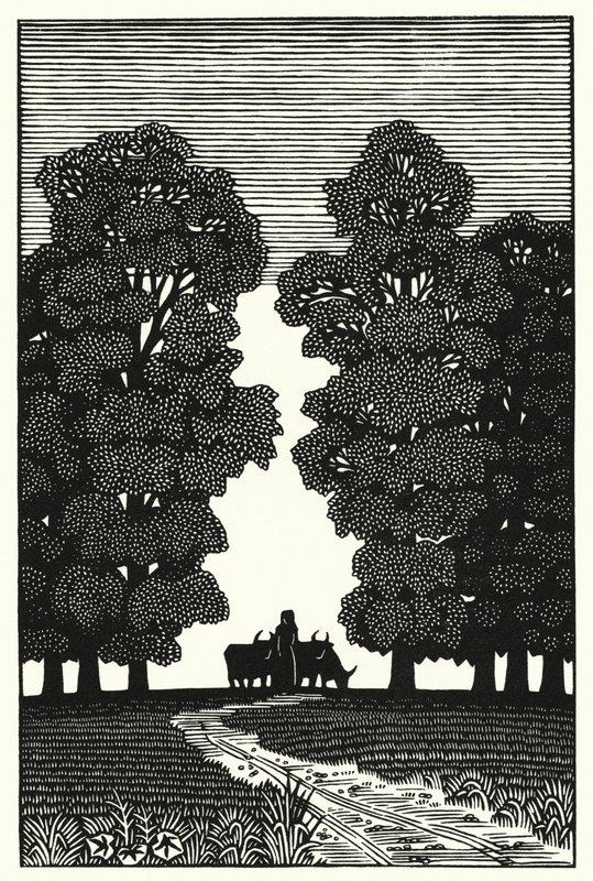 Illustration für Tess von den d