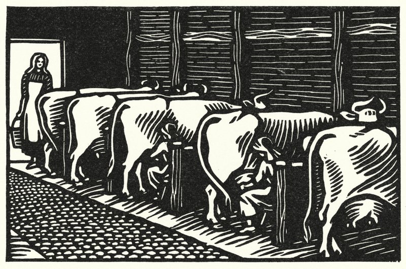 Illustration für Tess von den d