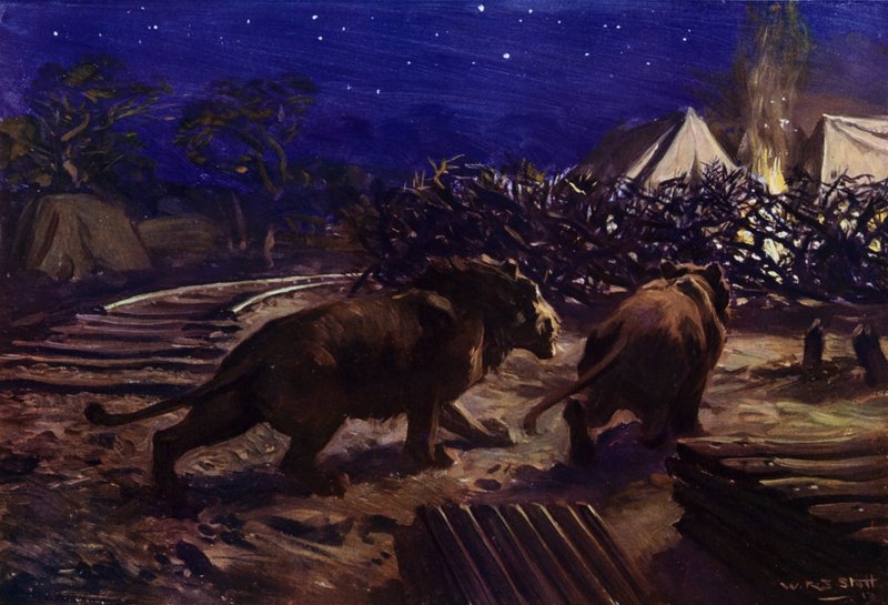 Löwen, die nachts außerhalb eines Arbeiterlagers während des Baus der ugandischen Eisenbahn umherstreifen von W.R.S. (after) Stott