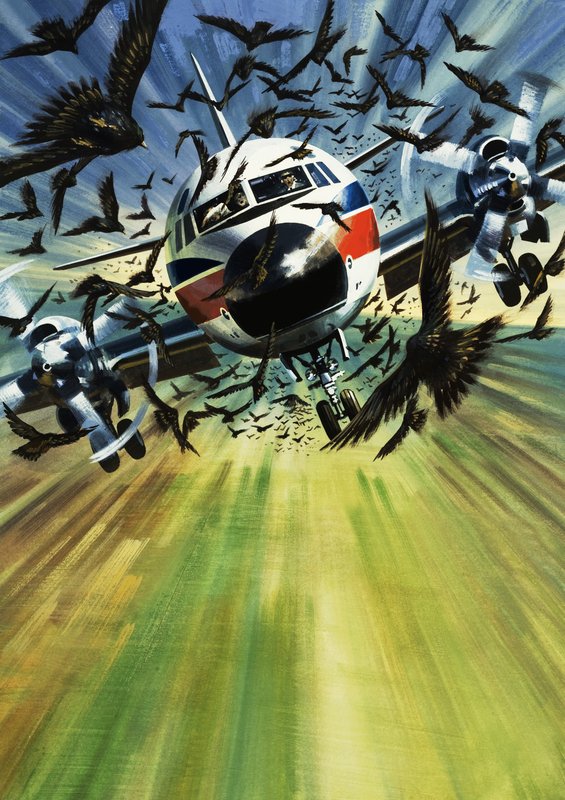 Ein Passagierflugzeug bedroht von einem Vogelschwarm von Wilf (20th century) Hardy