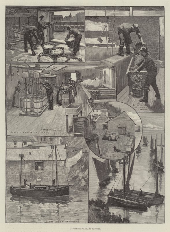 Eine Cornish-Pilchard-Fabrik von William Mouat Loudan