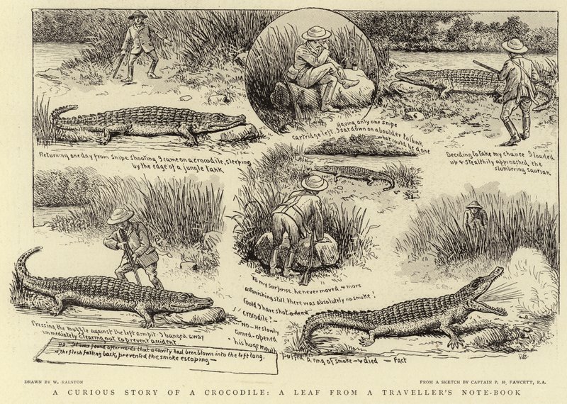 Eine merkwürdige Geschichte eines Krokodils, ein Blatt aus einem Reisetagebuch von William Ralston