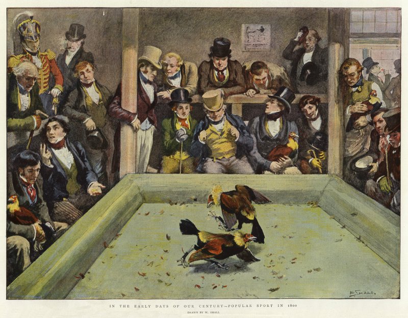 In den frühen Tagen unseres Jahrhunderts, Beliebter Sport im Jahr 1800 von William Small