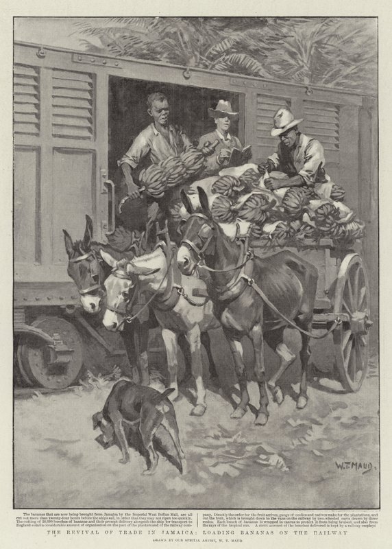 Die Wiederbelebung des Handels in Jamaika, Bananenverladung auf die Eisenbahn von William T. Maud