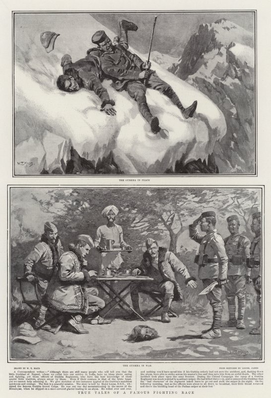 Wahre Geschichten einer berühmten Kampfrasse von William T. Maud