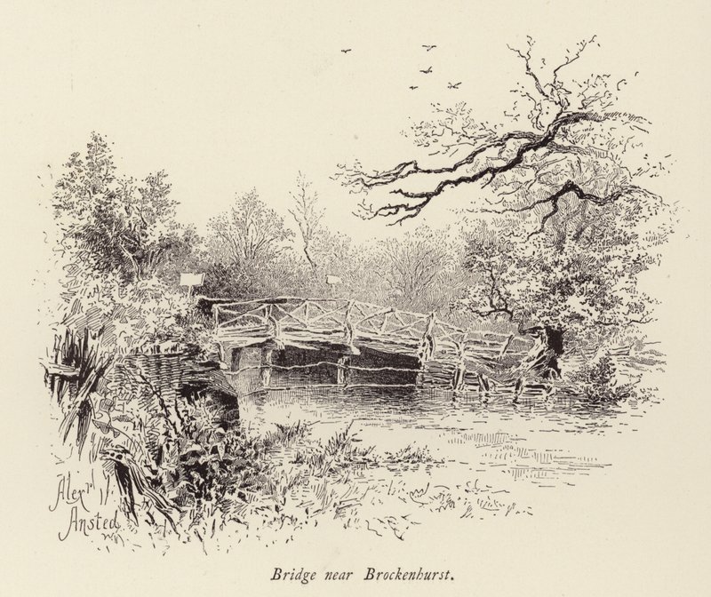 Brücke bei Brockenhurst von William Alexander Ansted