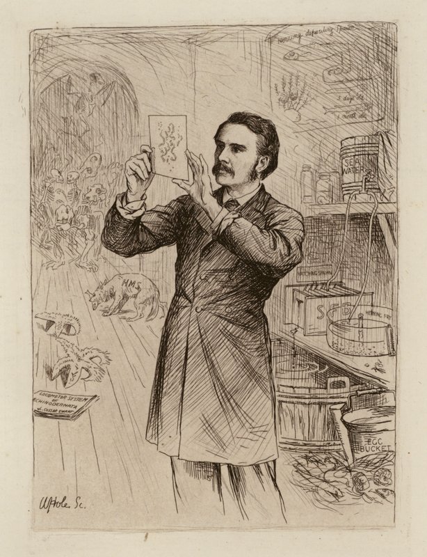 James Cossar Ewart, Professor der Naturgeschichte (Stich) von William Brassey (after) Hole