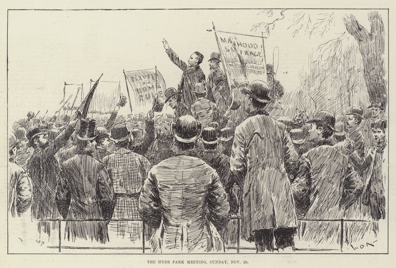 Das Hyde Park Treffen, Sonntag, 20. November von William Douglas Almond