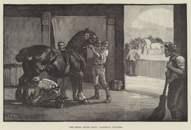 Die Shire Horse Show, letzte Handgriffe von William Frank Calderon