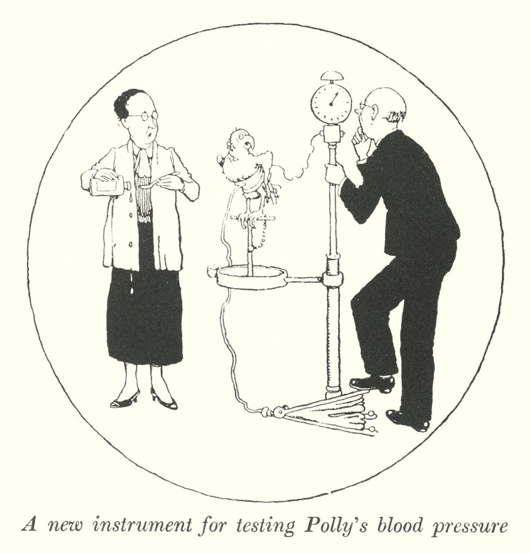 Ein neues Instrument zur Messung von Pollys Blutdruck (Lithografie) von William Heath Robinson