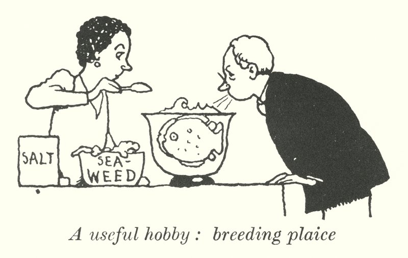 Ein nützliches Hobby, Scholle züchten (Lithografie) von William Heath Robinson