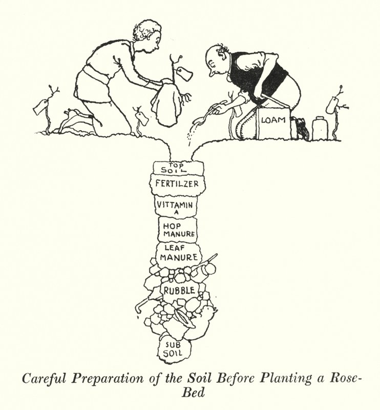 Sorgfältige Bodenvorbereitung vor dem Pflanzen eines Rosenbeets von William Heath Robinson